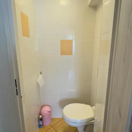 Pod Zielonym Daszkiem *